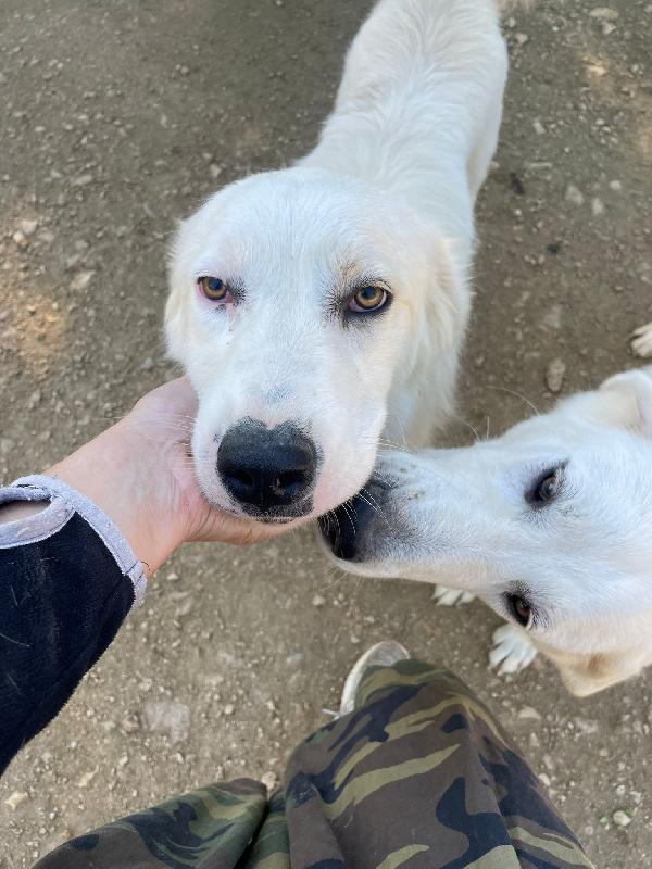 OSLO : SUPER COCCOLONE Foto 5